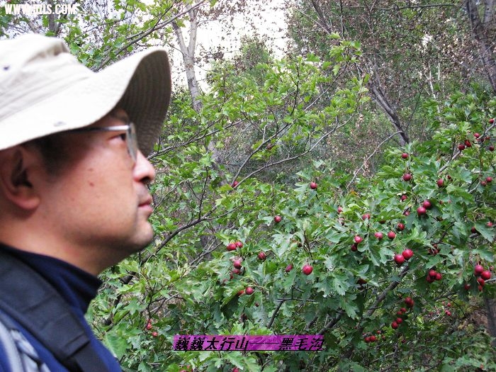 nEO_IMG_IMG_0415.jpg