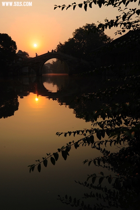 AAA_40061.jpg