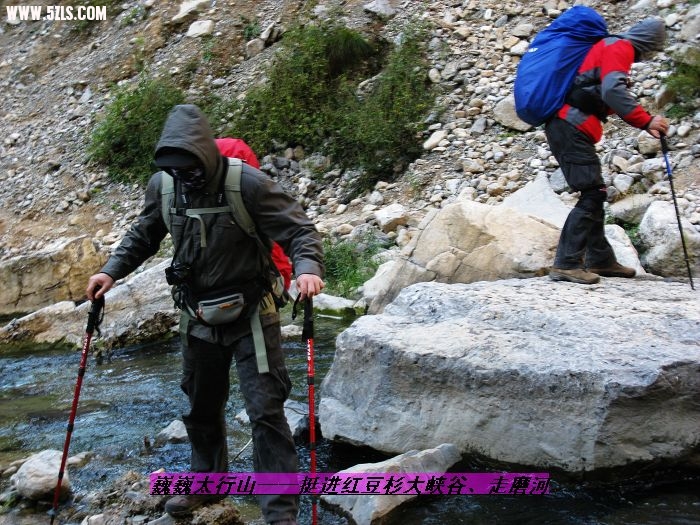 nEO_IMG_IMG_0496.jpg