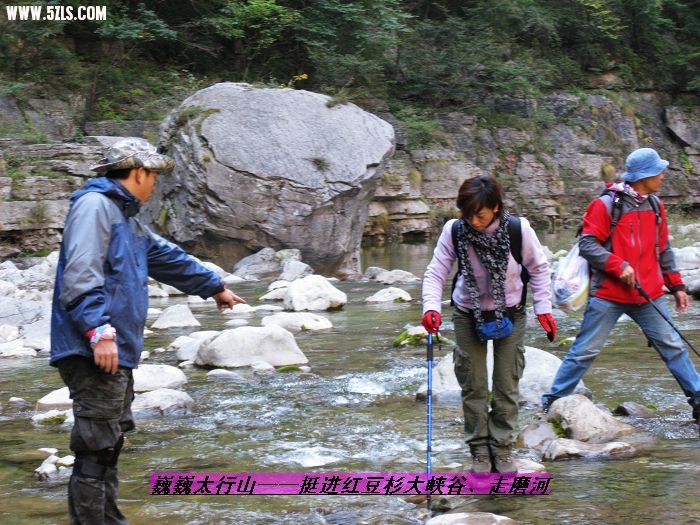 nEO_IMG_IMG_0511.jpg