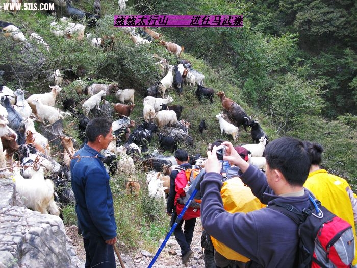 nEO_IMG_IMG_0589.jpg