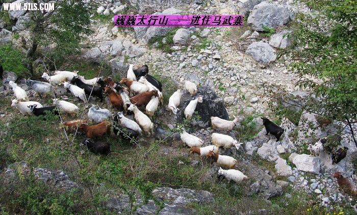 nEO_IMG_IMG_0591.jpg