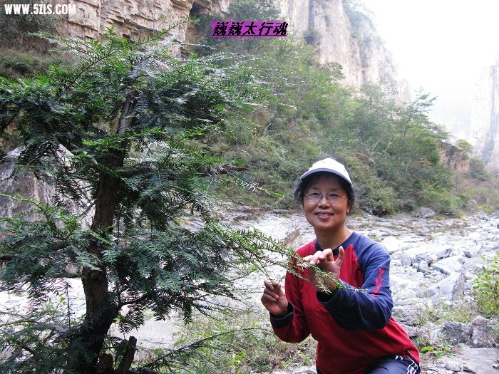 nEO_IMG_IMG_0641.jpg