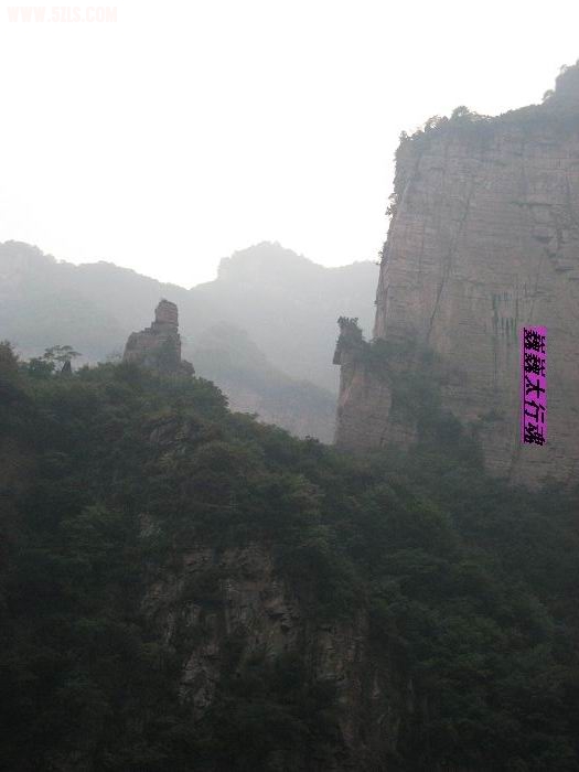 nEO_IMG_IMG_0702.jpg