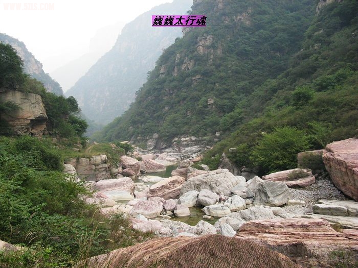 nEO_IMG_IMG_0705.jpg