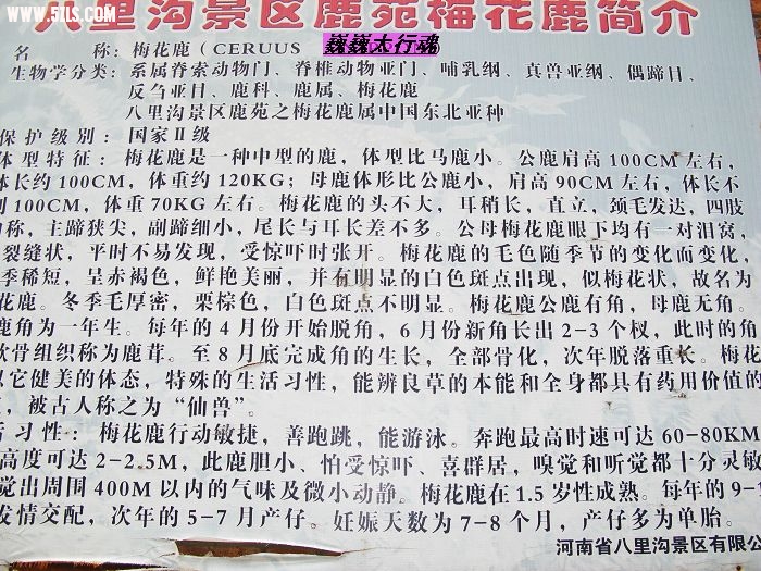 nEO_IMG_IMG_0707.jpg