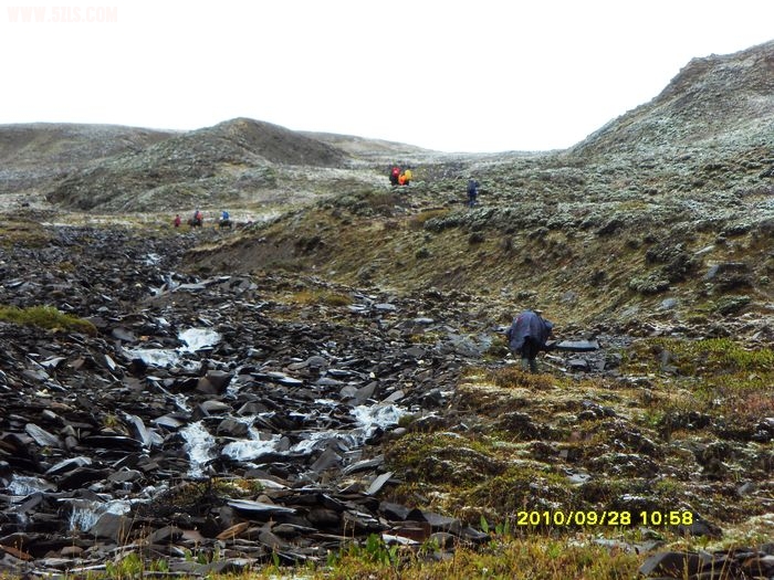 SDC14026.jpg