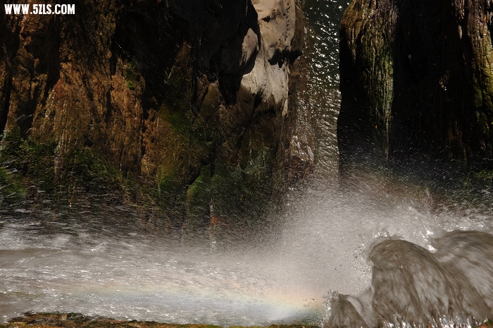 DSC_5348.jpg