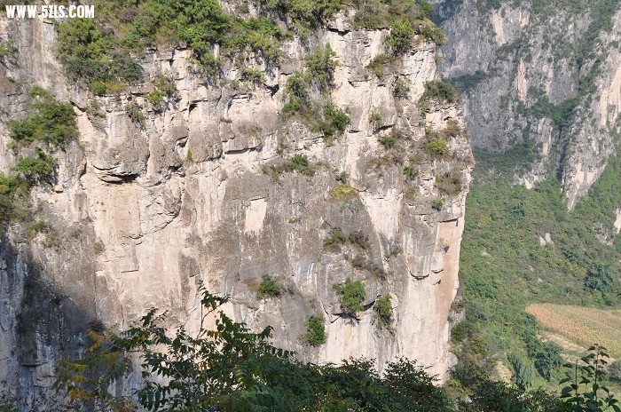 DSC_0268.jpg