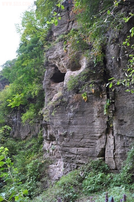 DSC_0270.jpg