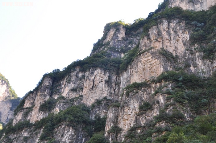 DSC_0419.jpg