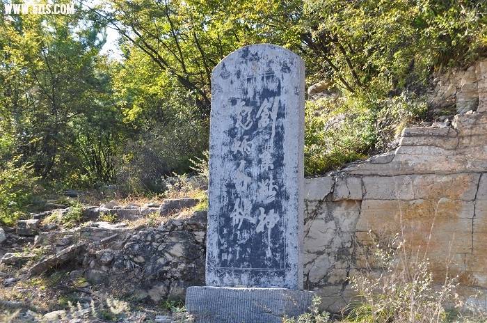 DSC_0454.jpg