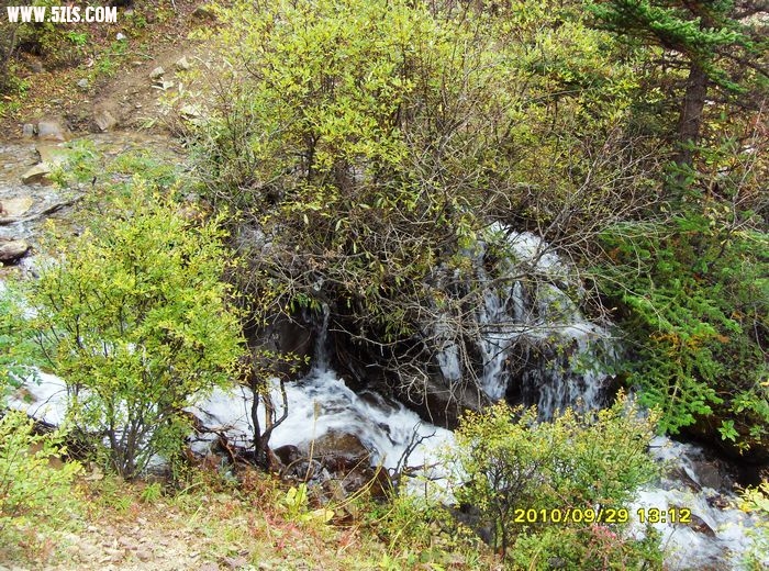 SDC14083.JPG