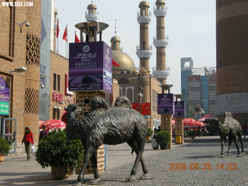 DSCN4730.JPG