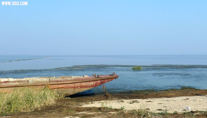 P1000791.jpg