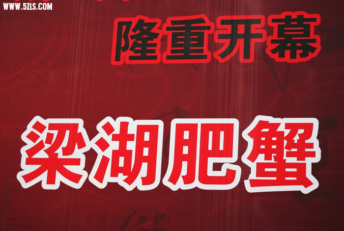 照片 2427.jpg