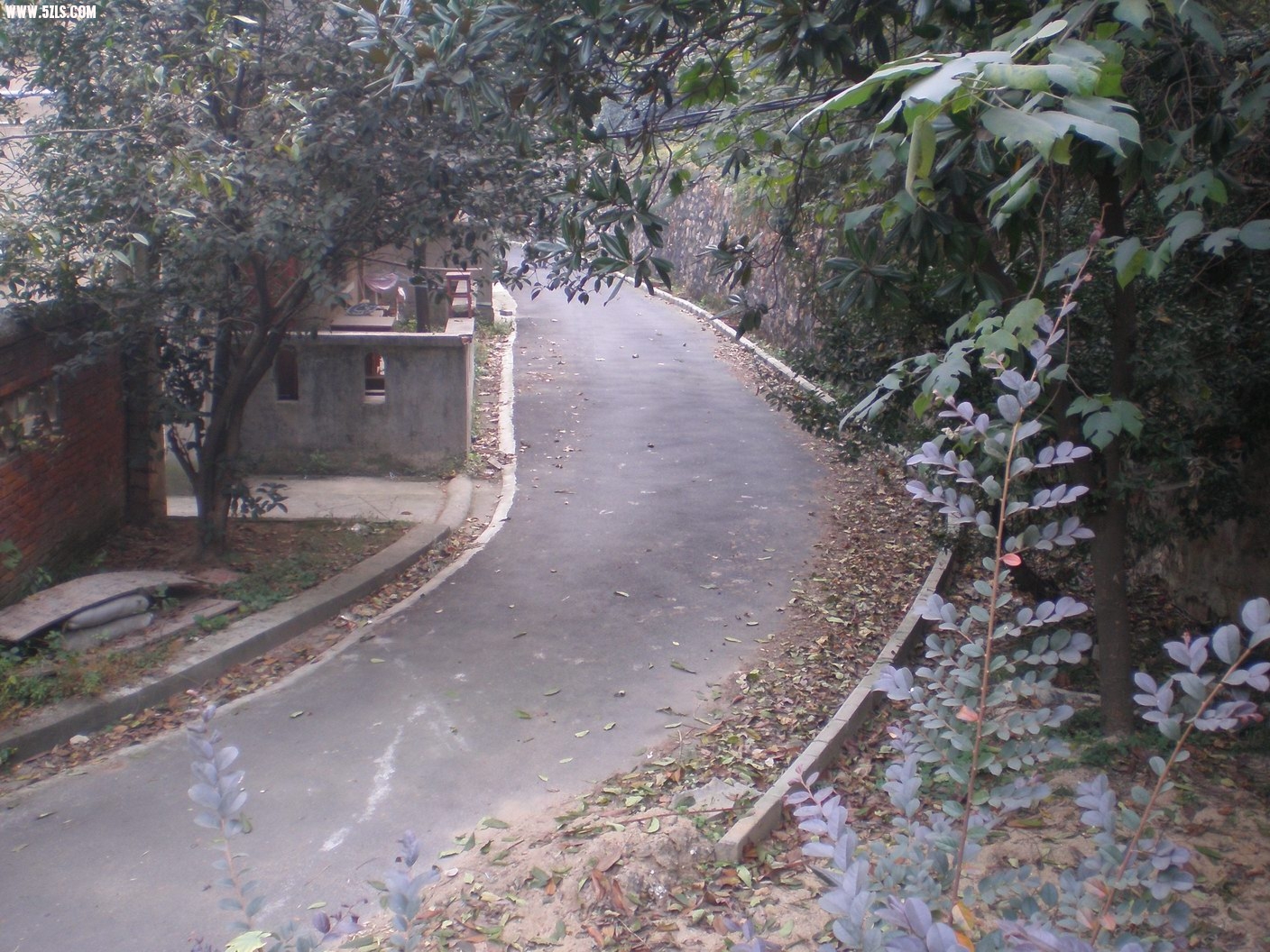 PB070196.JPG