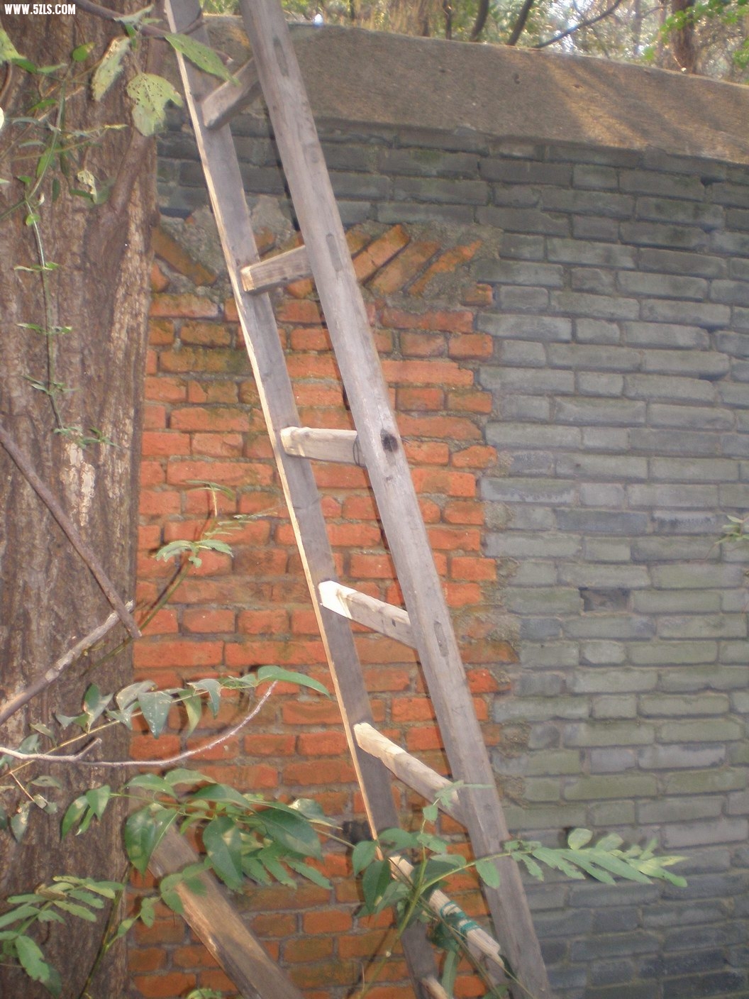 PB070205.JPG