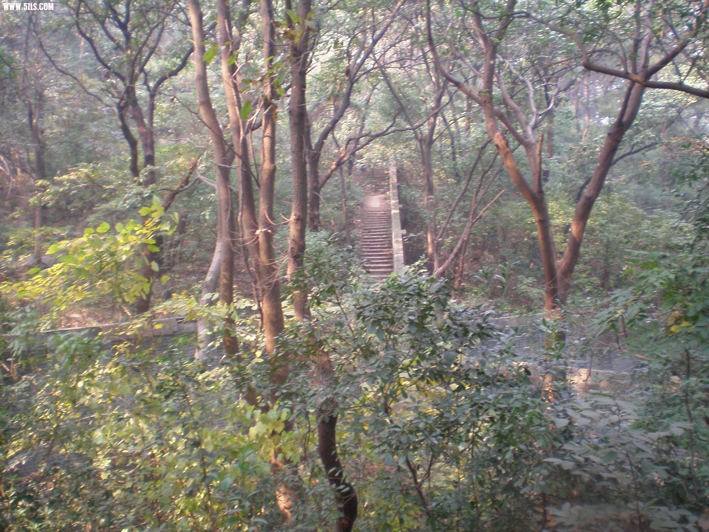 PB070203.JPG