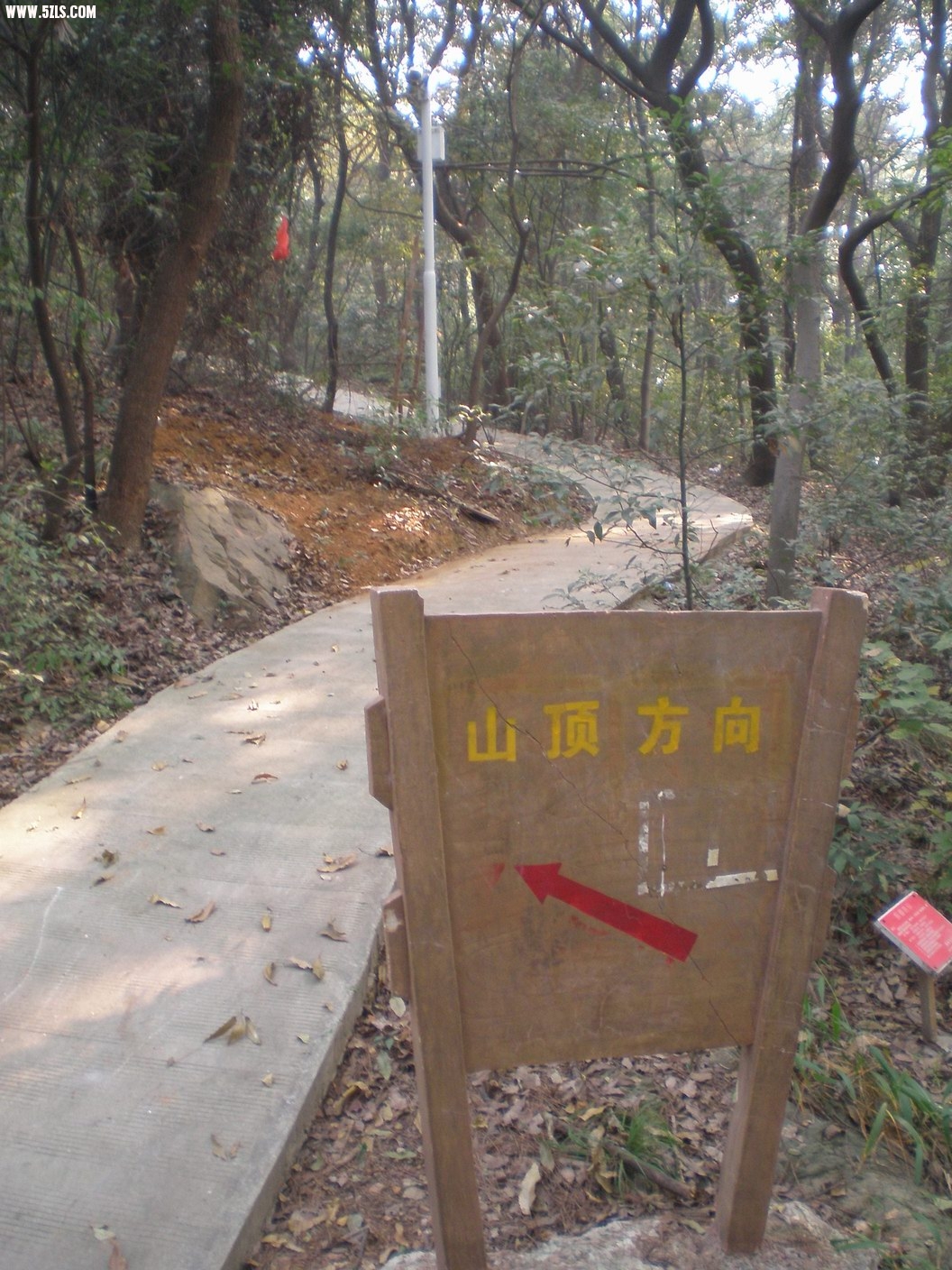 PB070202.JPG
