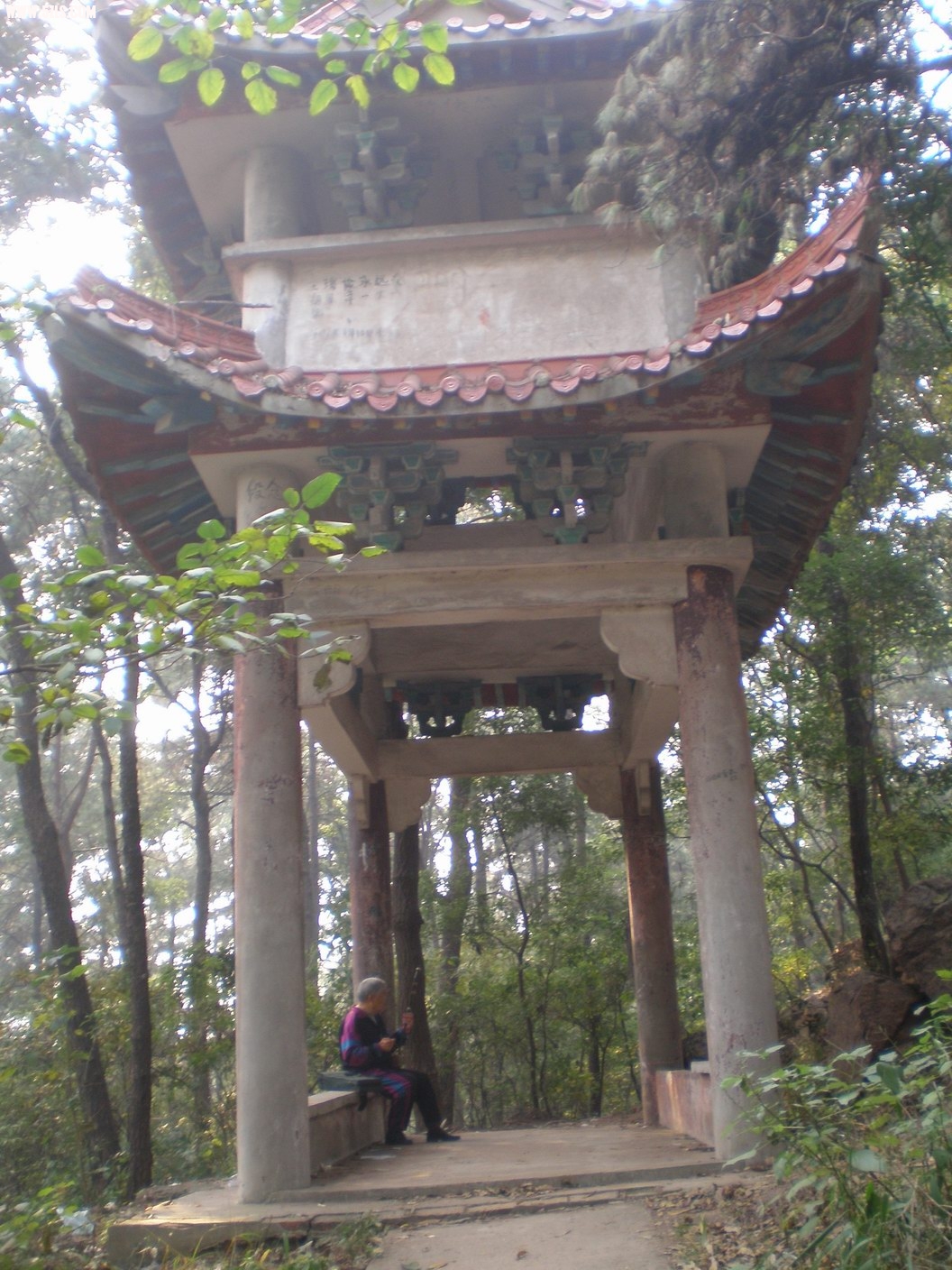 PB070206.JPG
