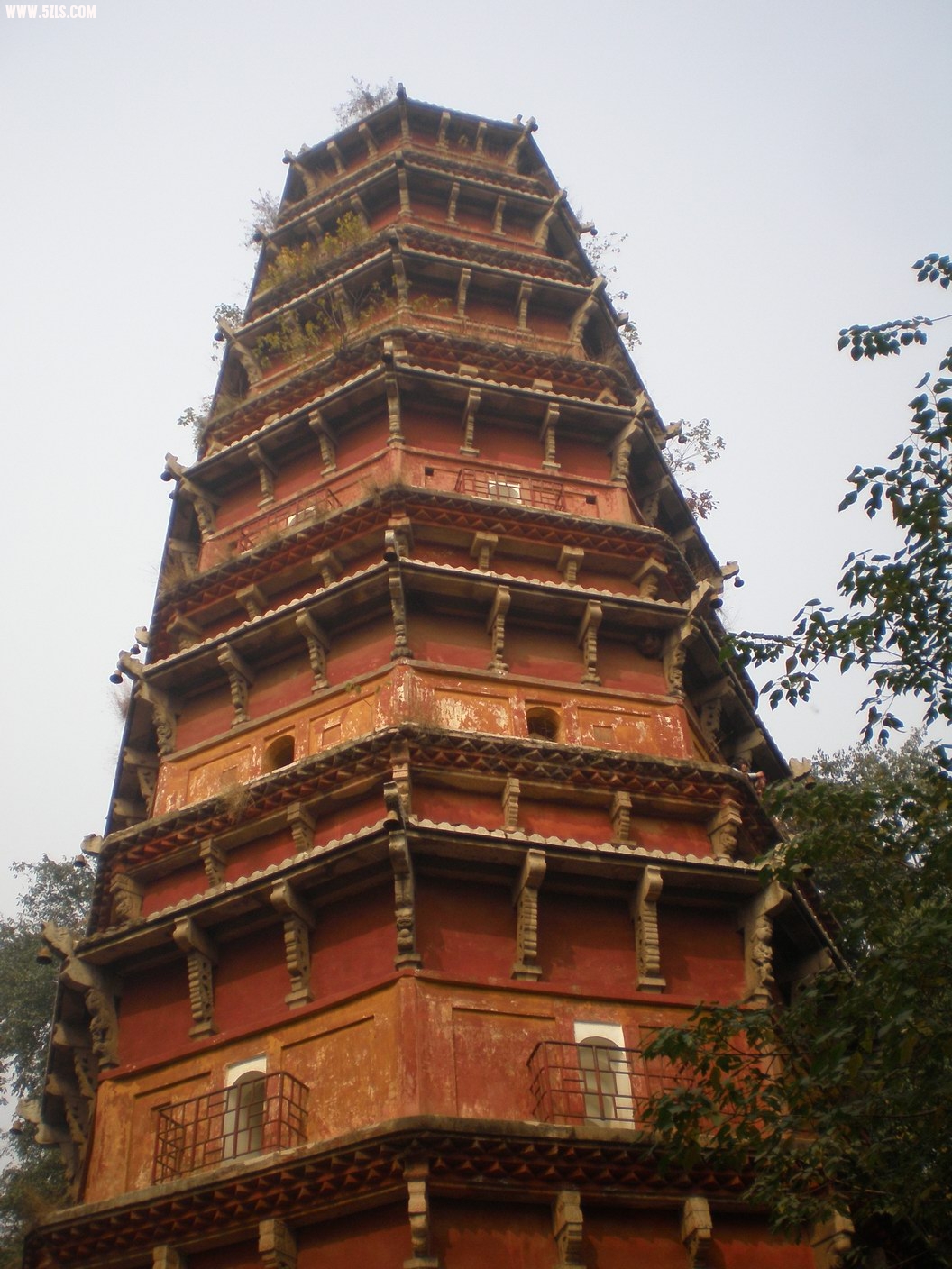 PB070211.JPG