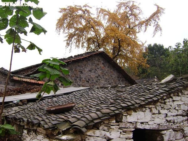 DSC08144-1.jpg