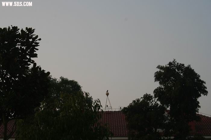 ̶ʵȼٴ塣 082.jpg