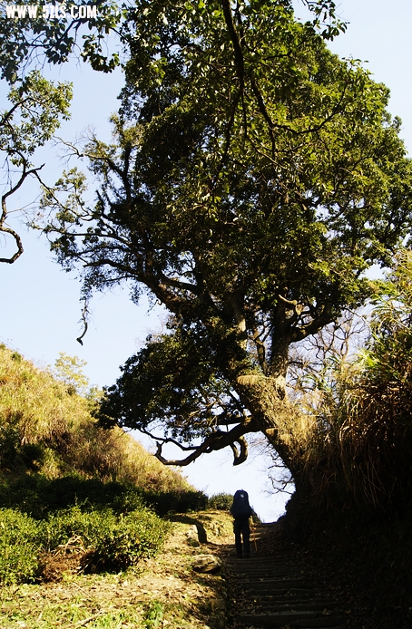 _DSC7835.jpg