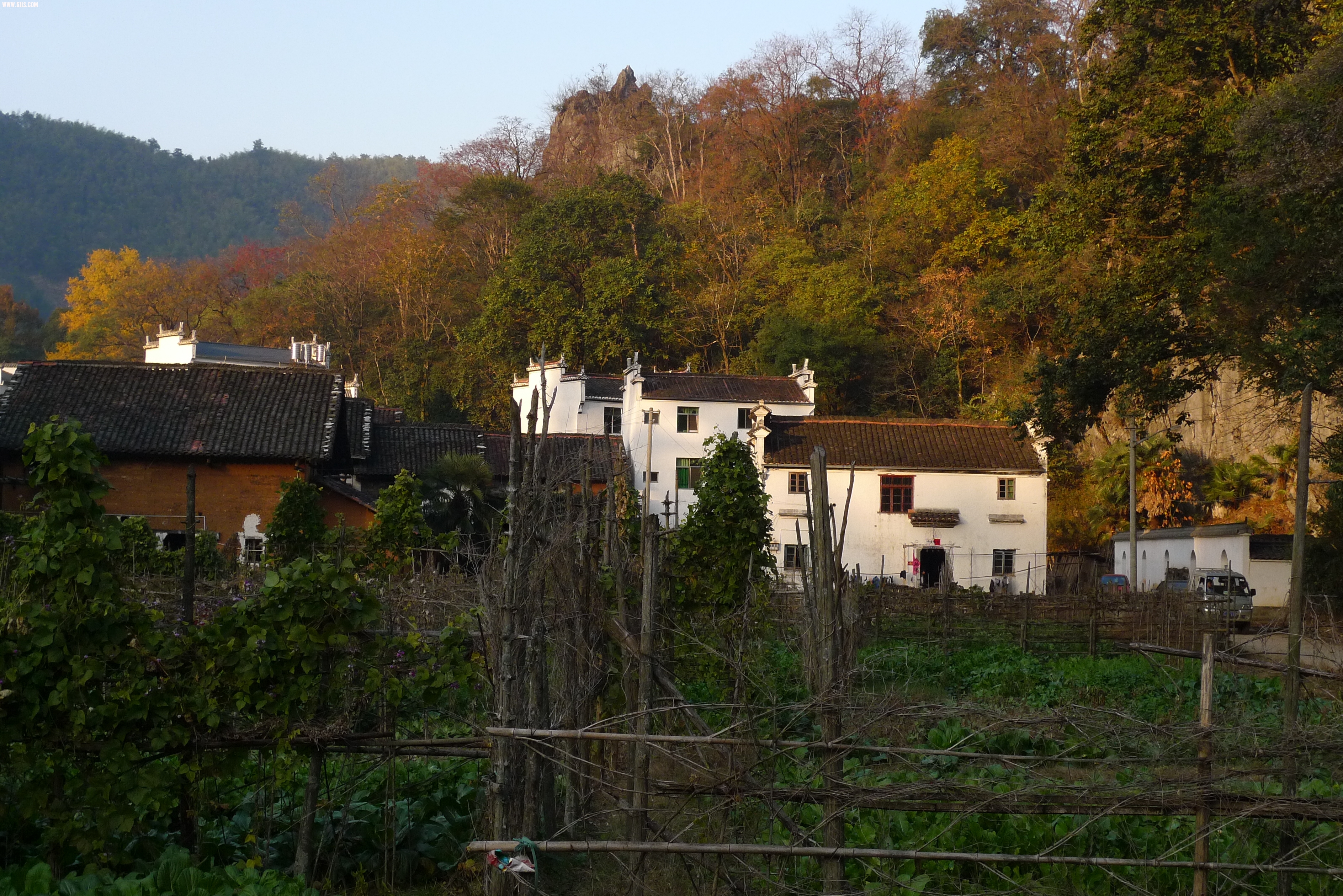 P1020101.JPG