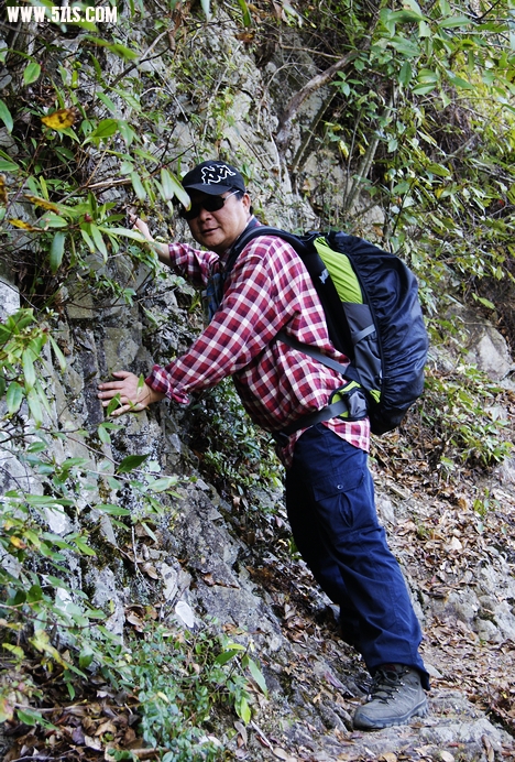 _DSC8045.JPG