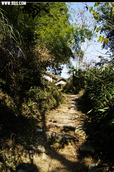 _DSC8008.JPG