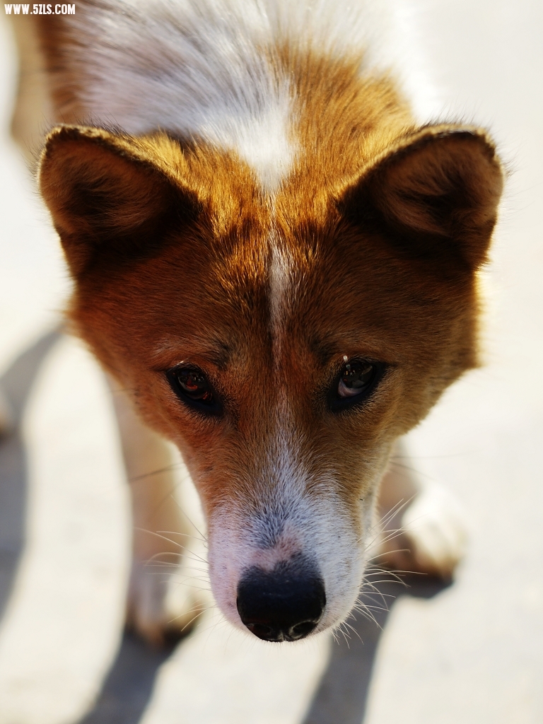 _DSC8023.JPG