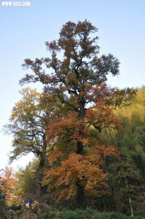 С DSC_0150.JPG