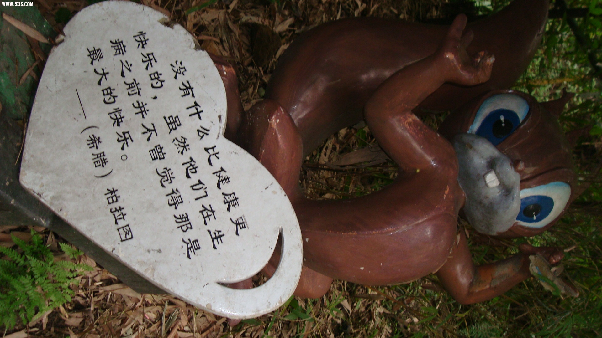 DSC07173.JPG