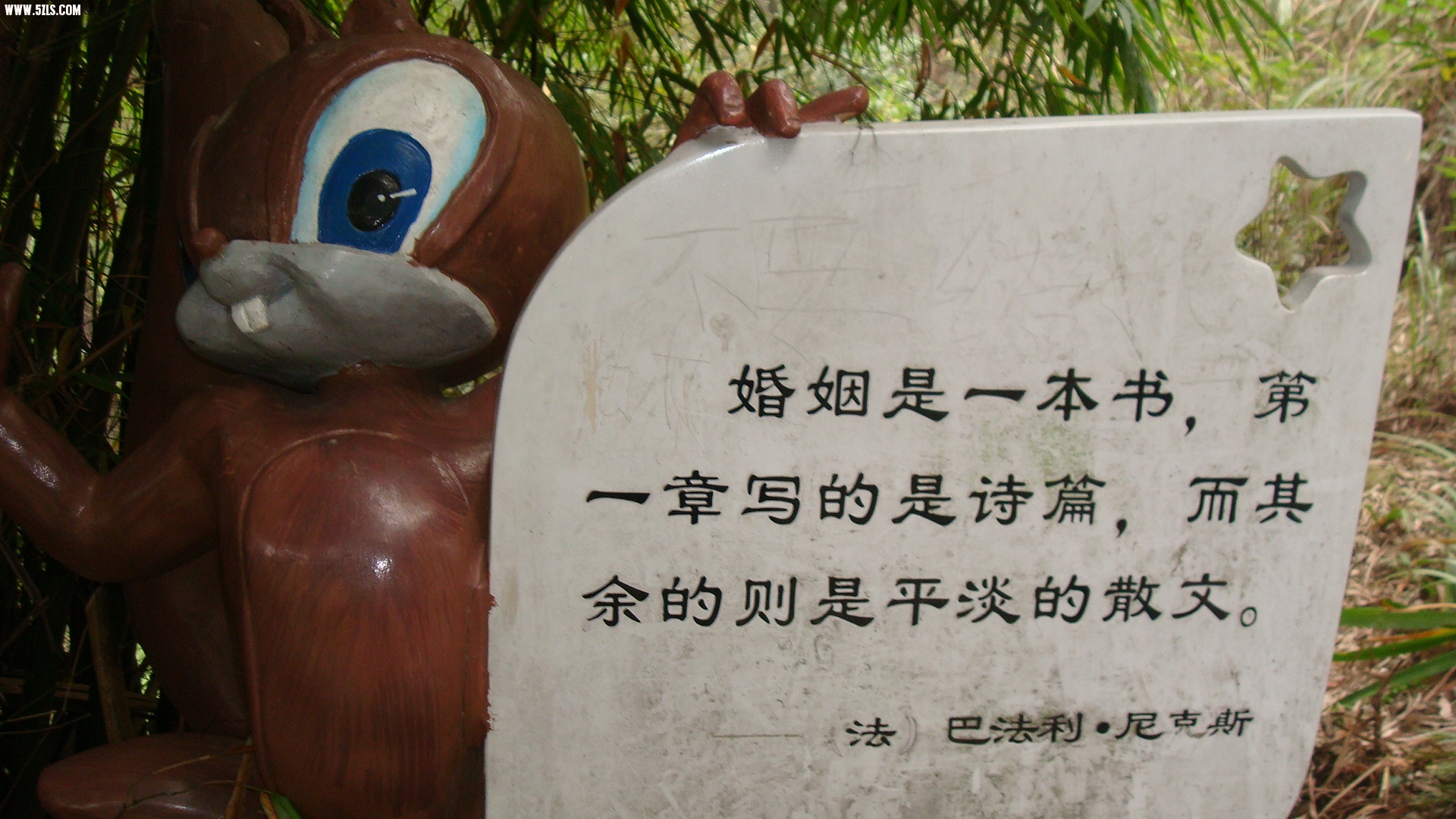 DSC07156.JPG