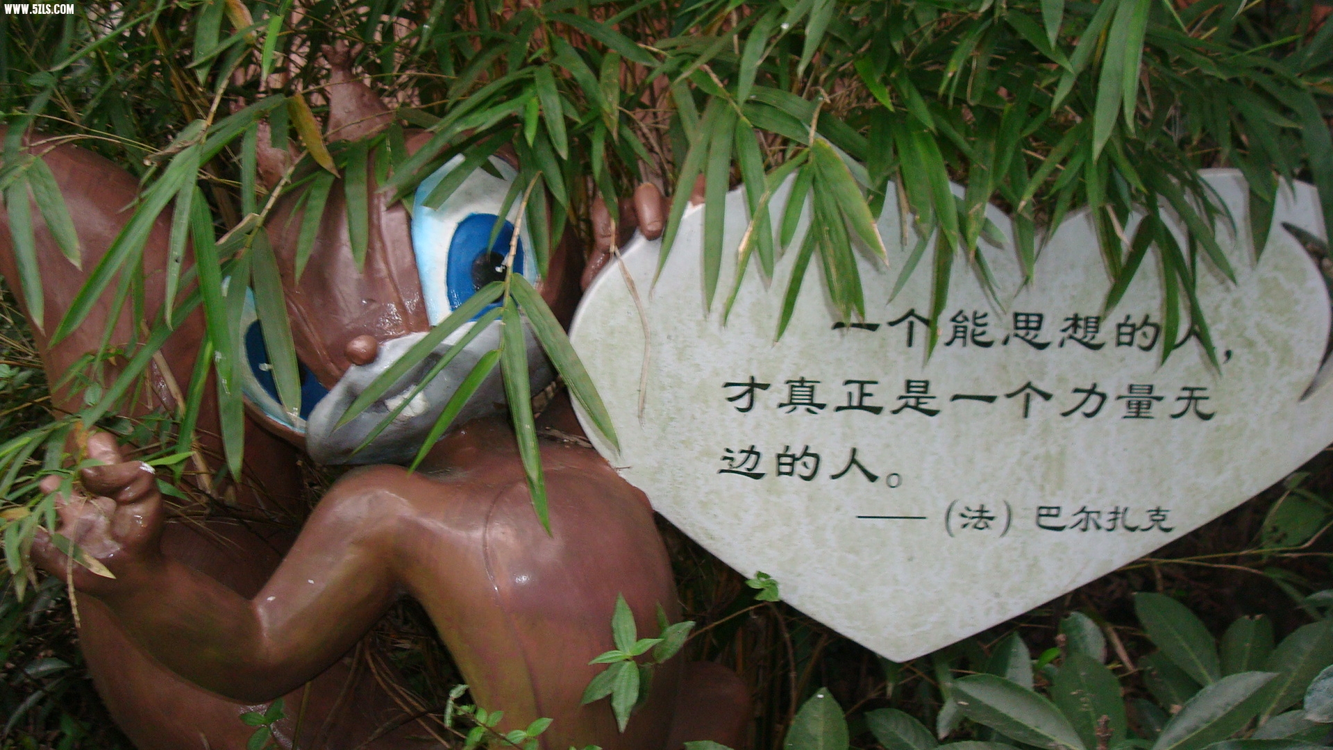 DSC07161.JPG