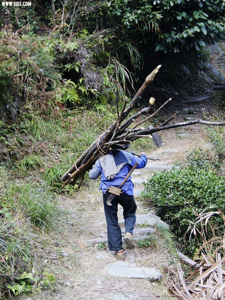 _DSC8078.JPG