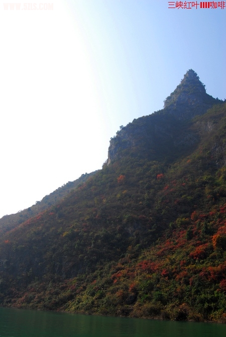 傲立山火