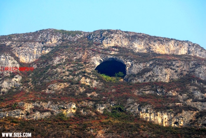 三峡红叶 350.jpg