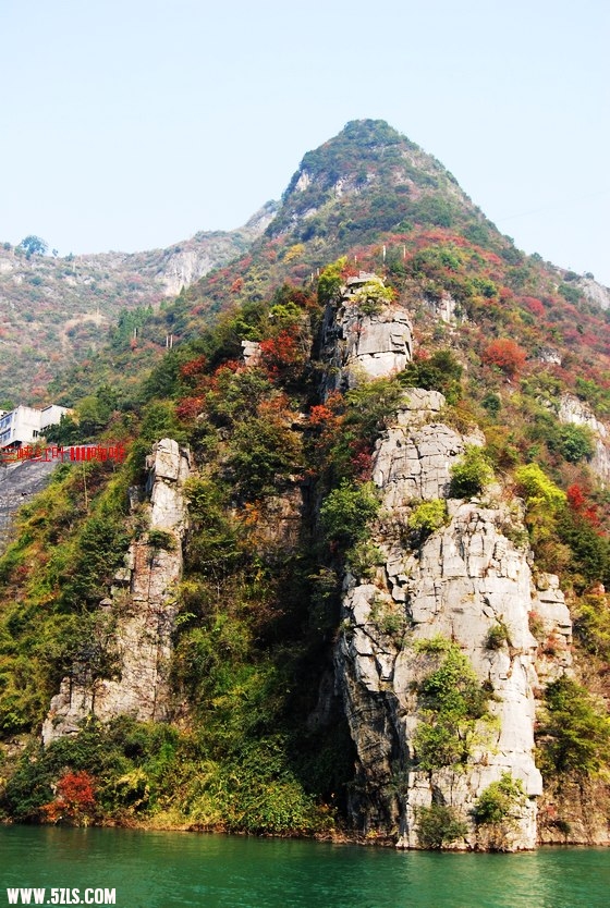 三峡红叶 380.jpg