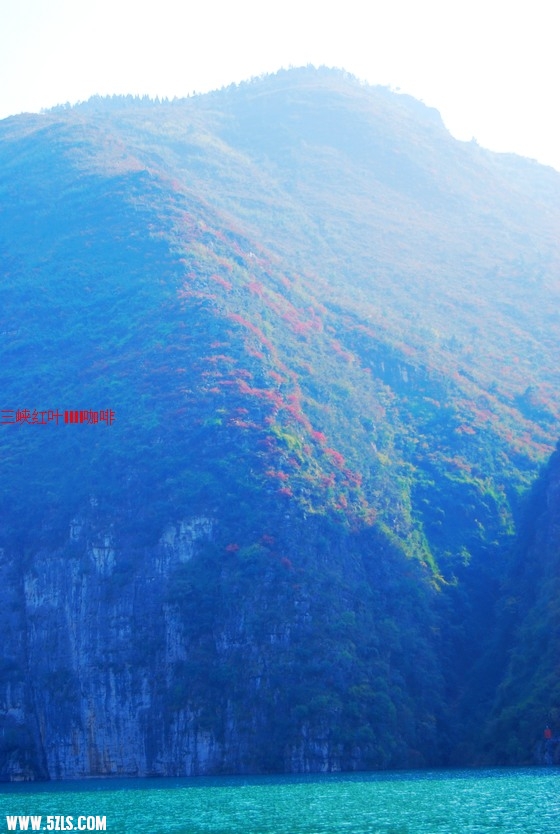 三峡红叶 397.jpg