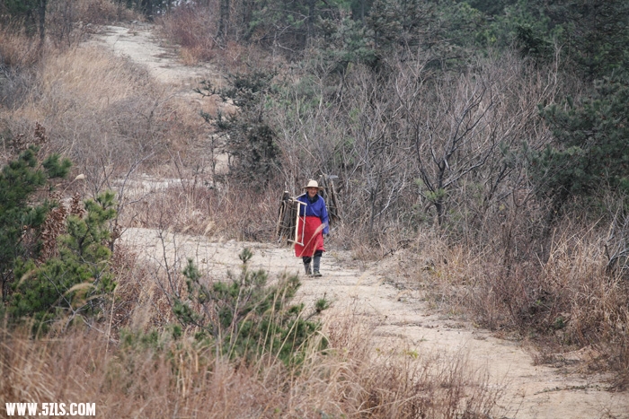 Ƭ 1219.jpg