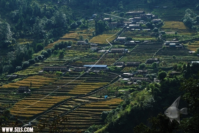 68.jpg