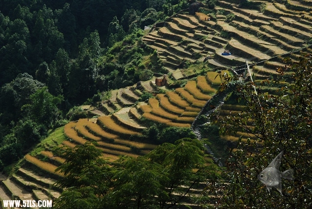 67.jpg