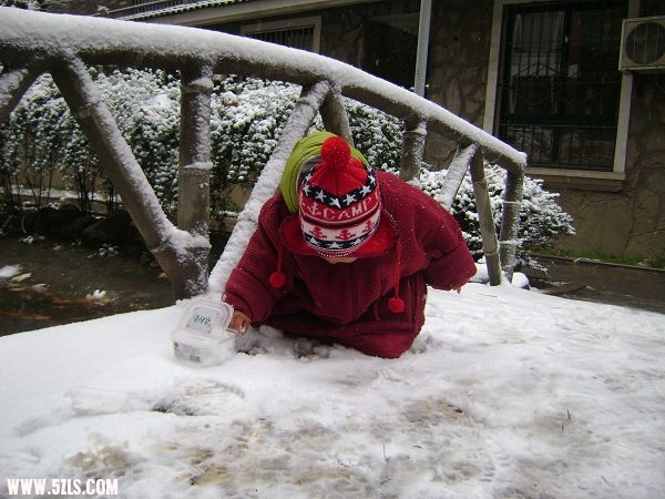 DSC08217-1.jpg