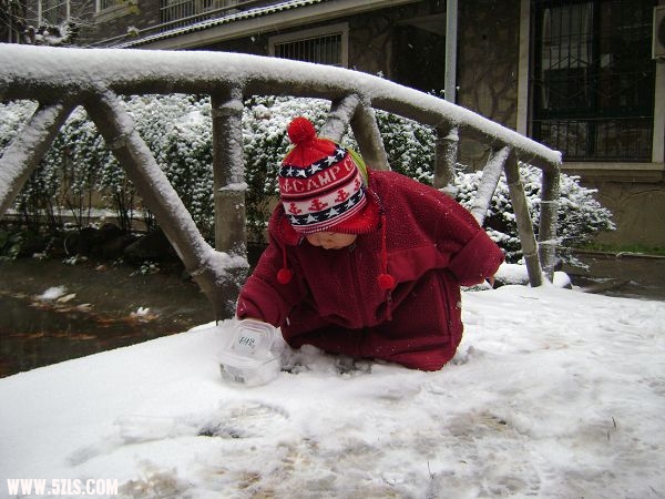 DSC08218-1.jpg
