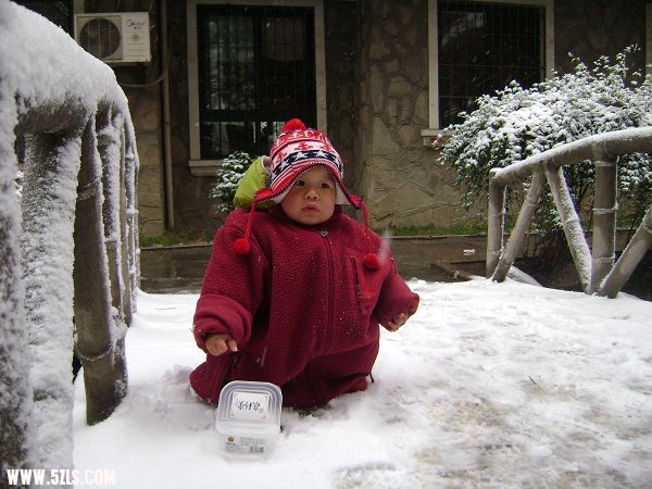 DSC08220-1.jpg
