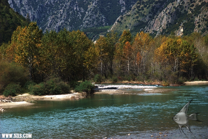 546.jpg