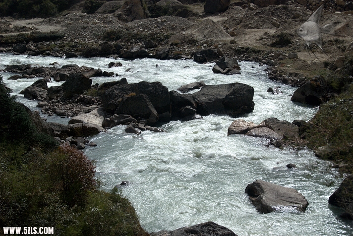 855.jpg